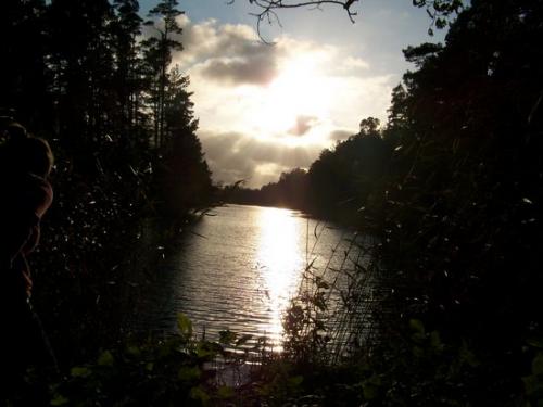 Idyllischer See in Lettland (100_0901.JPG) wird geladen. Eindrucksvolle Fotos aus Lettland erwarten Sie.